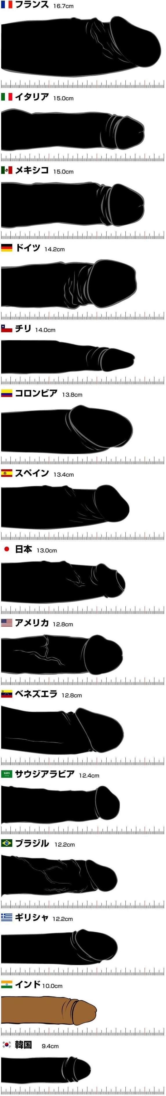 画像：国別ペニスサイズ比較表 [エロ]