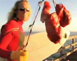 サーファーが肉でサメを釣ってサーフィンを楽しみ映像
